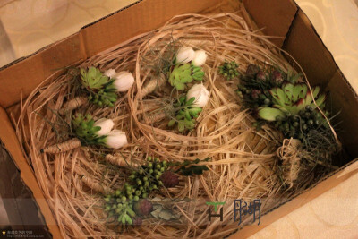 电话：18500104851 微信订阅号：TH_customization 新浪微博：http://weibo.com/thememorablewedding 豆瓣：http://www.douban.com/people/THwedding/