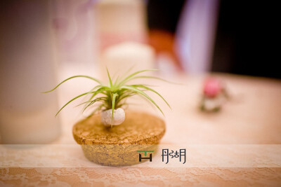 电话：18500104851 微信订阅号：TH_customization 新浪微博：http://weibo.com/thememorablewedding 豆瓣：http://www.douban.com/people/THwedding/