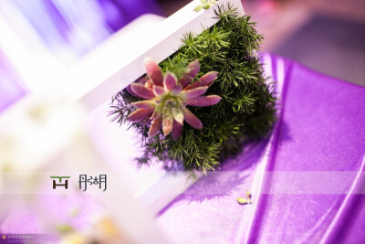 电话：18500104851 微信订阅号：TH_customization 新浪微博：http://weibo.com/thememorablewedding 豆瓣：http://www.douban.com/people/THwedding/