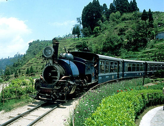 這趟微型“玩具列車(chē)”從喜馬拉雅山東部山腳下的西里古里開(kāi)往大吉嶺山區(qū)，全程8小時(shí)。沿著這條兩英尺寬的鐵軌一路駛?cè)ィ慰涂梢钥吹?400英尺高的喜馬拉雅山峰、茂密的叢林、翠綠的山谷、茶園、楓樹(shù)林、栗子樹(shù)、梨樹(shù)、櫻桃樹(shù)和豆蔻樹(shù)。聲名遠(yuǎn)揚(yáng)的大吉嶺曾出現(xiàn)寶萊塢多部影片中。列車(chē)單程票價(jià)只有1美元。