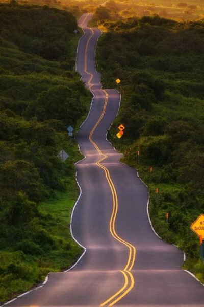 夏威夷毛伊岛，醉公路