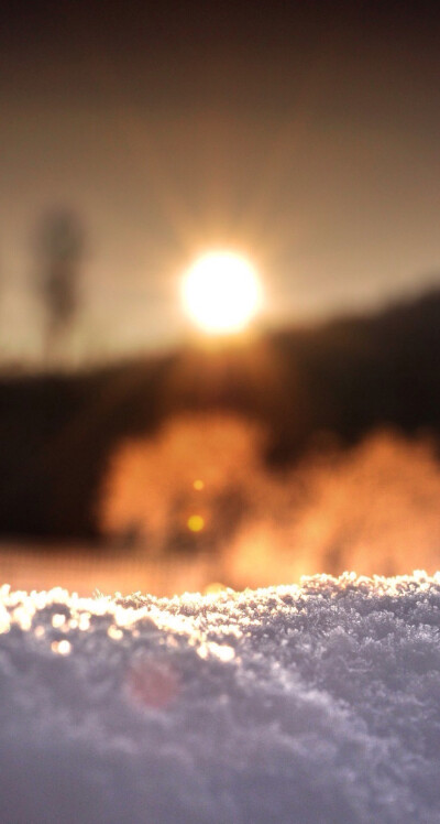 冬季雪景