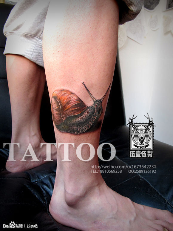 伍壹伍TATTOO STUDIO 蜗牛