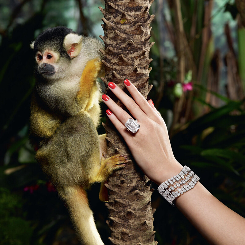 英国顶级珠宝品牌 Graff（格拉芙）推出全新2012年夏季珠宝系列广告大片，摄影师 Matthew Shave执镜。本季广告将场景搬到郁郁葱葱的丛林，如大自然恩赐般的珠宝，打造梦幻世界。