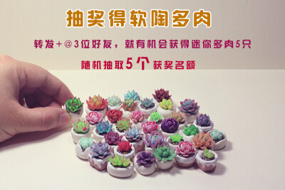 现在我在微博上做抽奖活动，有兴趣的同学可以，来抽奖了！截止日期为5月1日 微博地址：http://weibo.com/peako