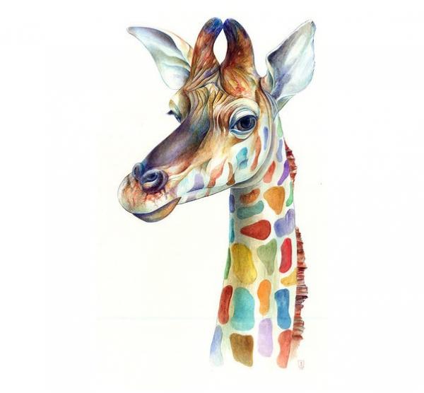Brandon Keehner水彩动物插画欣赏 长颈鹿