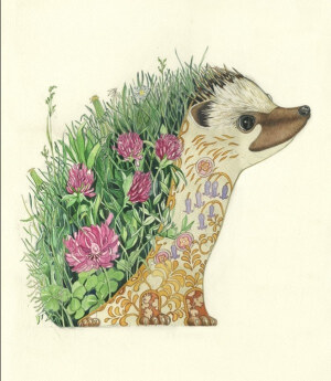 英国数字插画师Daniel Mackie，他的插画给我们讲述了希腊神话故事，肖像绘画等等有意思的作品，早在2010年的时候Daniel Mackie决定摈弃Photoshop，利用传统的绘画方法重新定位他的插画，直到现在Daniel Mackie的插画依旧是以水彩绘法进行创作，虽然没有了特技的渲染，但他的插画依旧是十分精彩。  刺猬