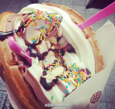 拿在手上吃的Ice Cream Waffle