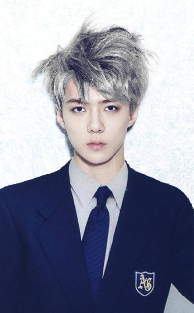 EXO 吴世勋 Sehun