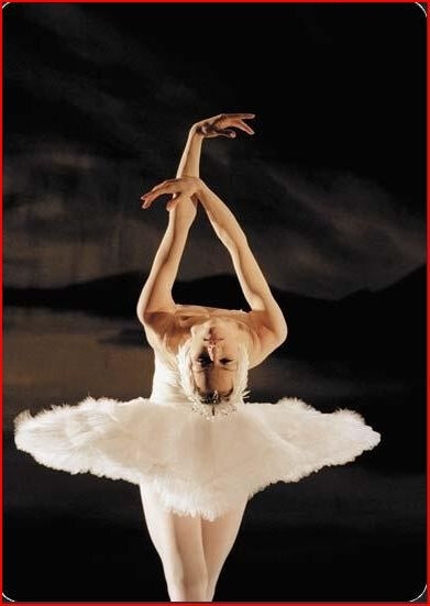 Yulia Makhalina, Principal Dancer Mariinsky Theatre Ballet Corp