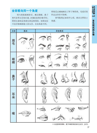 斜侧面人物的五官表现分析。摘自《素描画人物就这么简单》