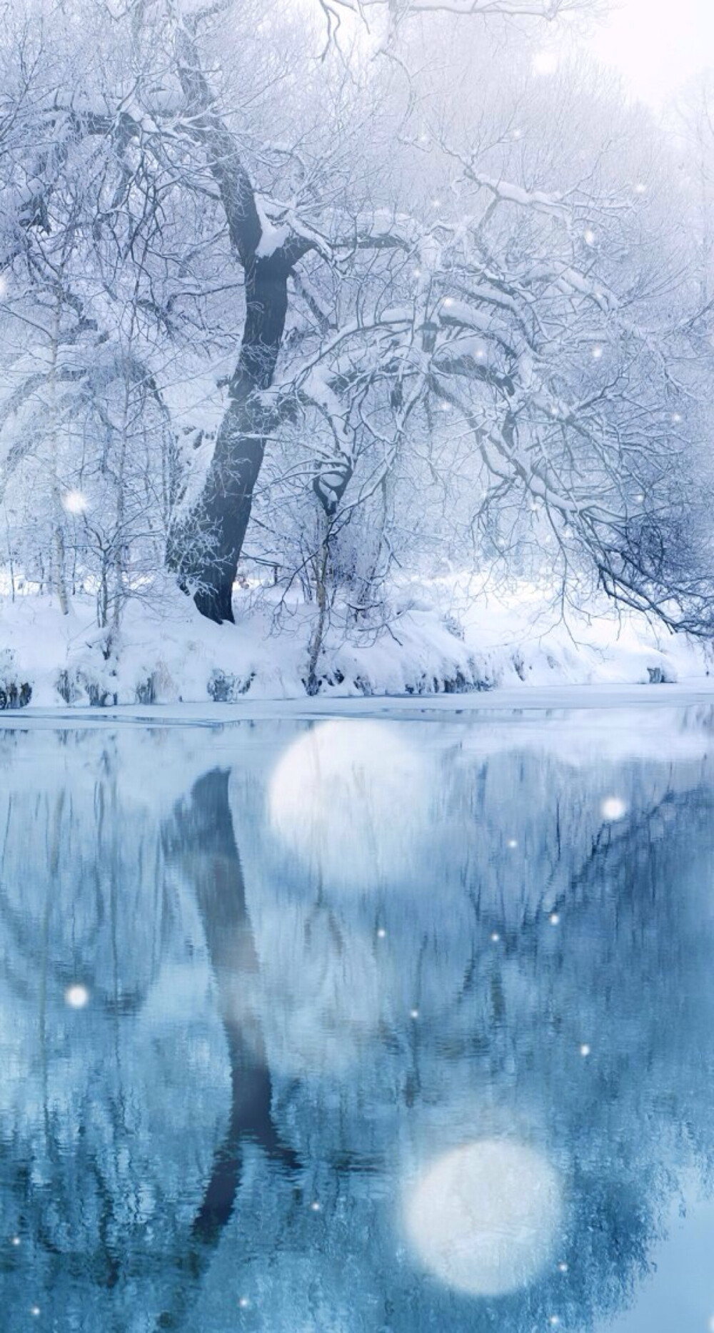 冬季雪景