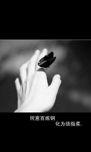 何意百炼钢　化为绕指柔