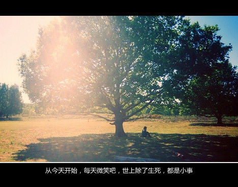 既然都是虚无，那么我就要用力地留下我的痕迹给你们看。