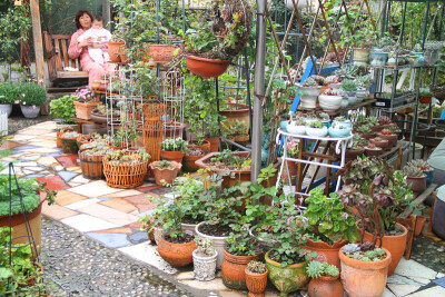 图片由花友提供