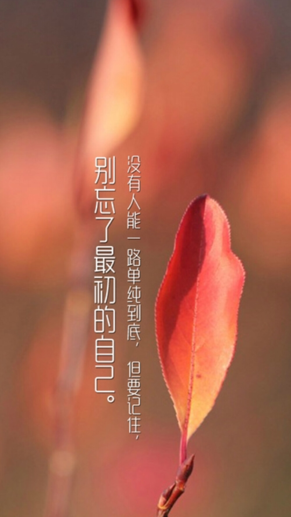 没有人能一路单纯到底但要记住别忘了最初的自己