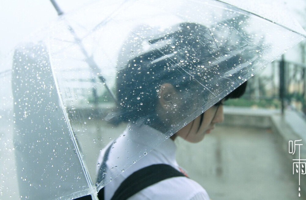 花不淋雨.就不能开得娇艳.人不释怀.就不会活得坦然。