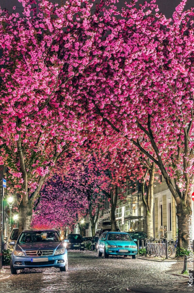 意大利莱茵河旁