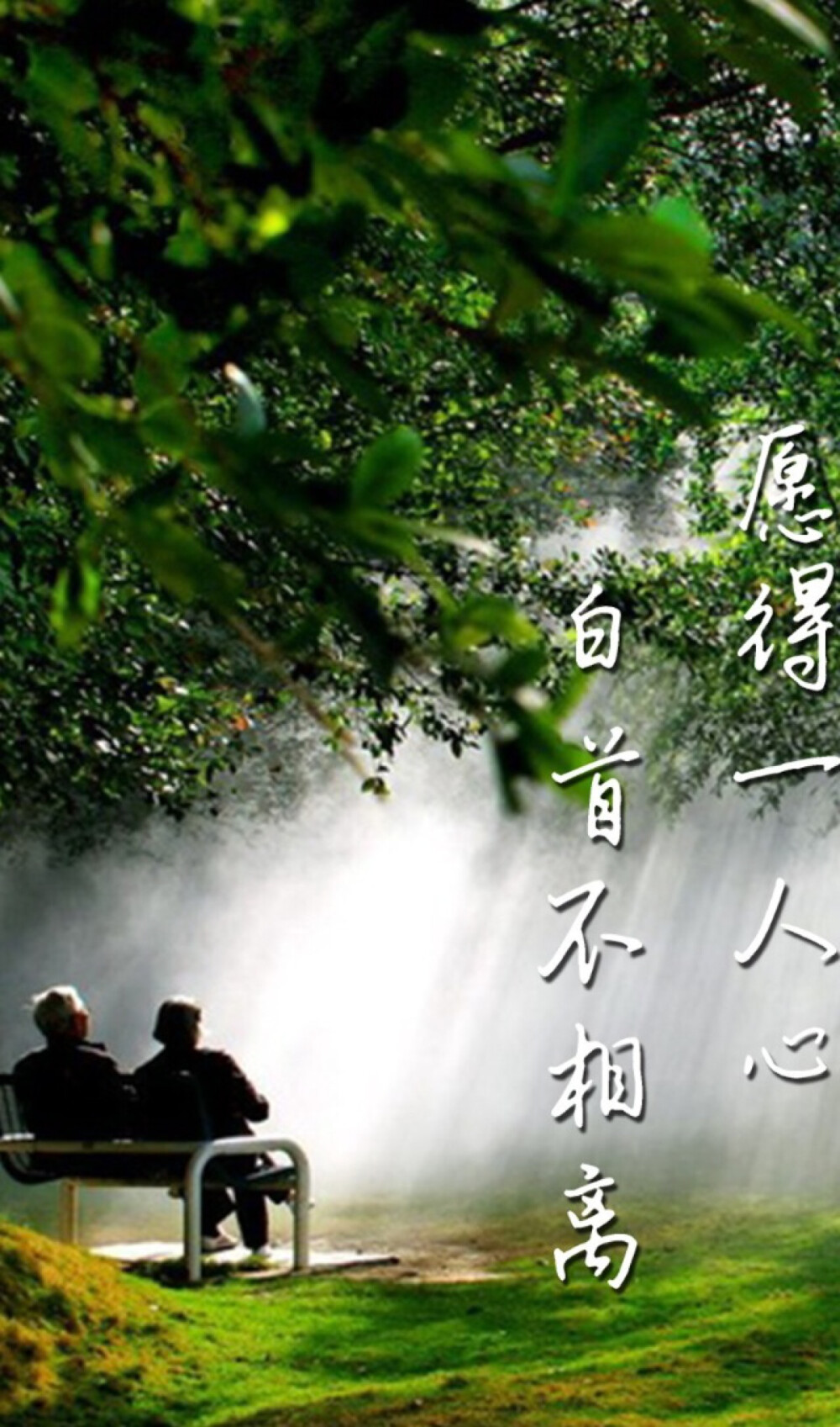 愿得一人心白首不相离
