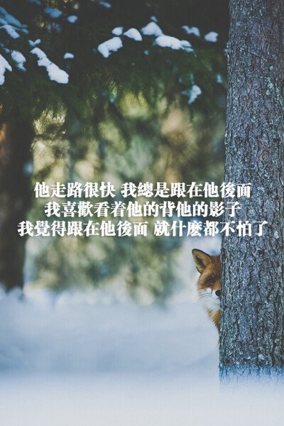 他走路很快.我總是跟在他後面.我喜歡看着他的背.他的影子.我觉得跟在他后面就什么都不怕了。