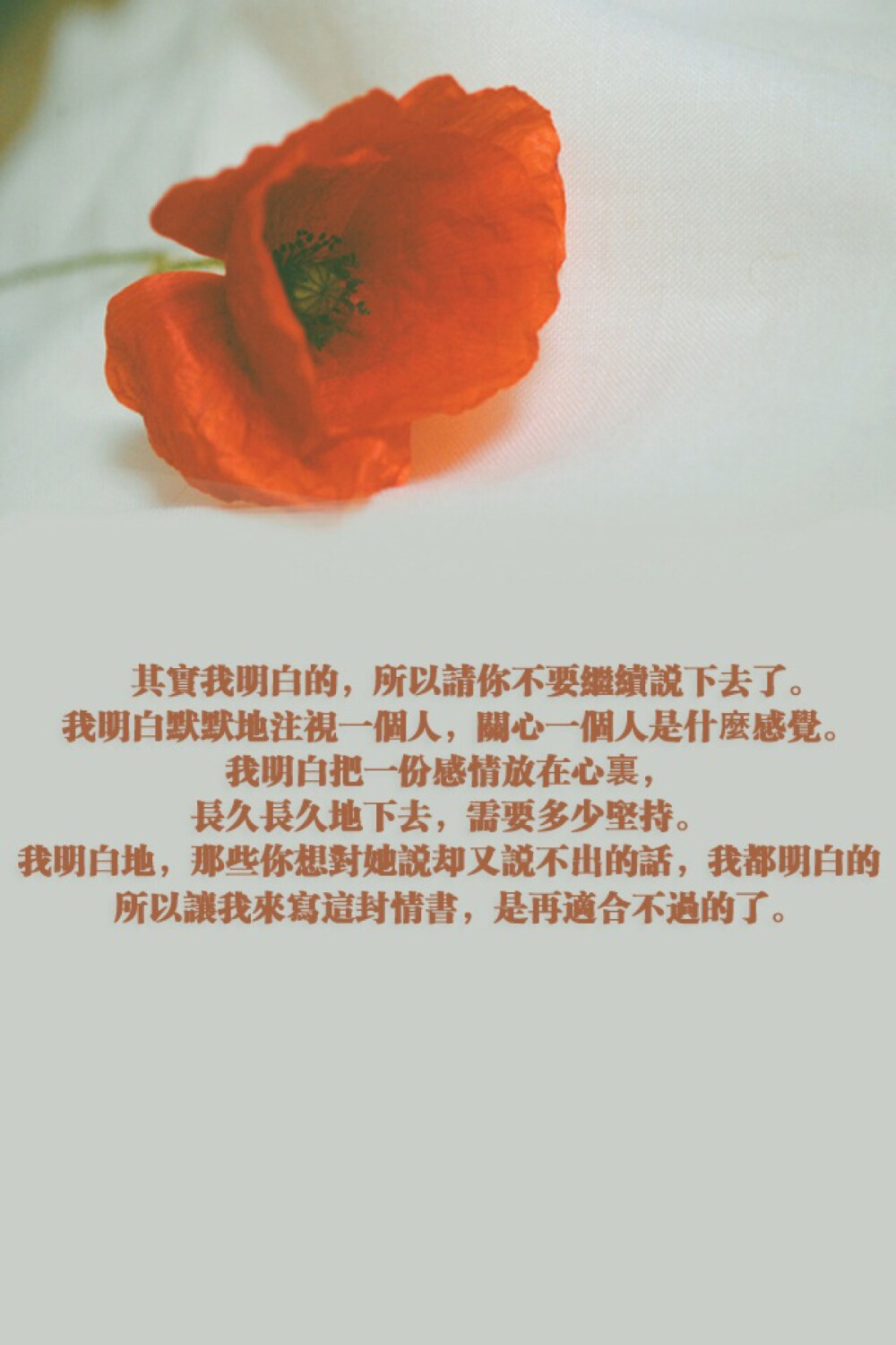 其實(shí)我明白的.所以請(qǐng)你不要繼續(xù)說(shuō)下去了.我明白默默地注視一個(gè)人.關(guān)心一個(gè)人是什麼感覺(jué).我明白把一份感情放在心裏.長(zhǎng)久長(zhǎng)久地下去.需要多少堅(jiān)持.我明白地.那些你想對(duì)她說(shuō)卻又說(shuō)不出的話.我都明白的.所以讓我來(lái)寫這封情書.是再適合不過(guò)的了。