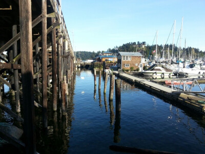 Gibson's harbor