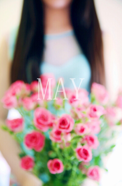 May. 五月的粉玫瑰
