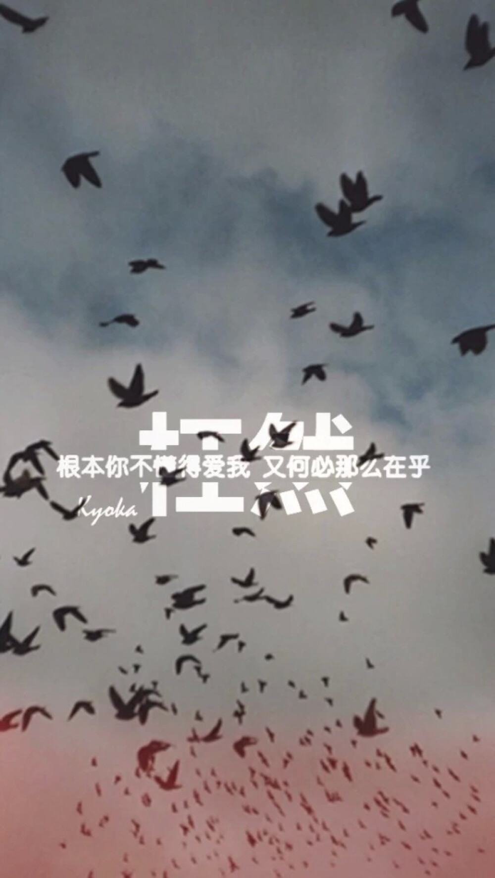 又何必那么在乎. - 堆糖,美图壁纸兴趣社区