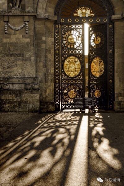 英国摄影师Darrell Godliman 的黑白摄影作品《Blenheim Palace Gates》。青春记忆是一扇微敞又无法折返的门，只留下一地斑驳的花影。