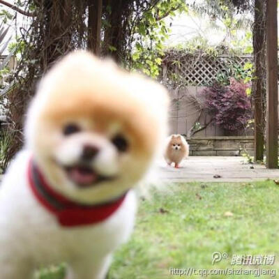 俊介君