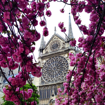 Notre Dame Paris
