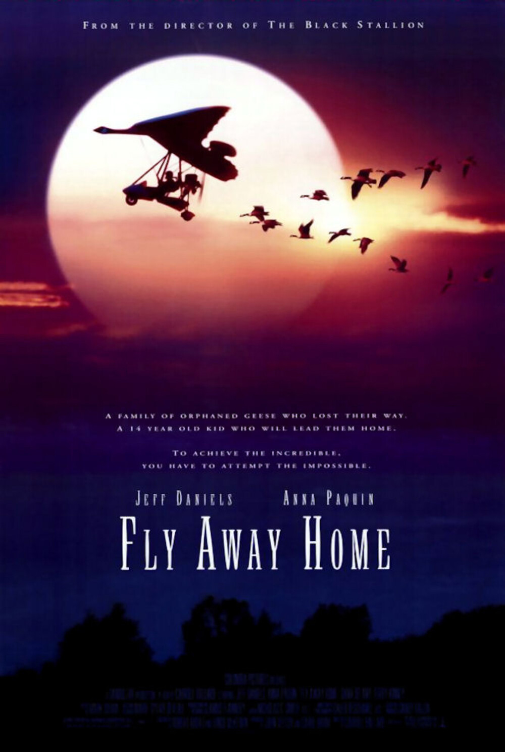 伴你高飞 Fly Away Home 有些电影，感染你的就是一种情绪，一种意境，比如《伴你高飞》，它几乎集结了人生中所有美好的情绪和意境，没有太多跌宕起伏的波折，就凭着一种单纯与美好，一种和谐与自然，让我沉浸其中。伴大雁而飞，感悟自然，保护自然，融入自然，更让人们通过融入自然，彼此相连，此情此景实在让人心旷神怡。