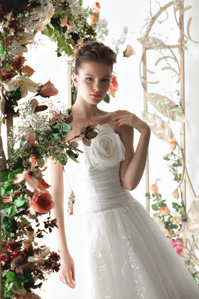 Wedding Dress Collection by Papilio 2012 婚纱