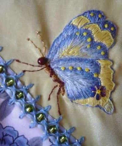 So pretty - love the blue and yellow, and the little flower on the lower wing!