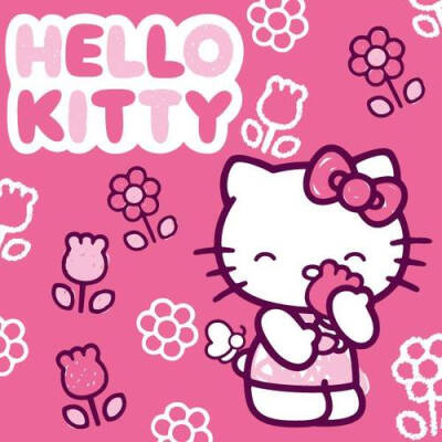 Sanrio Hello Kitty 其它~