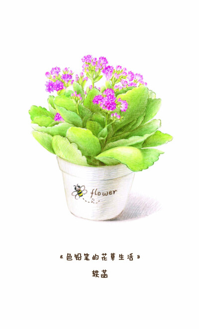 轶菡 色铅笔