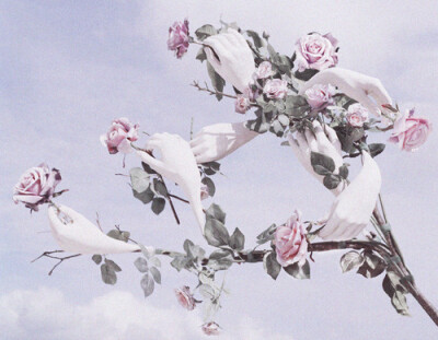 Surreal rose plant featured in the editorial ‘Stranger Than Paradise’ shot by Tim Walker for W magazine