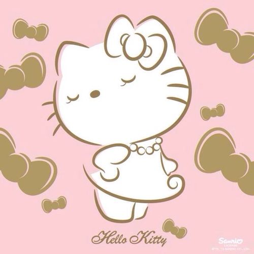 Sanrio Hello Kitty 其它~