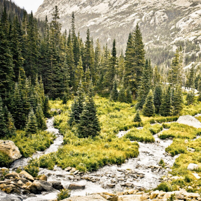 风景