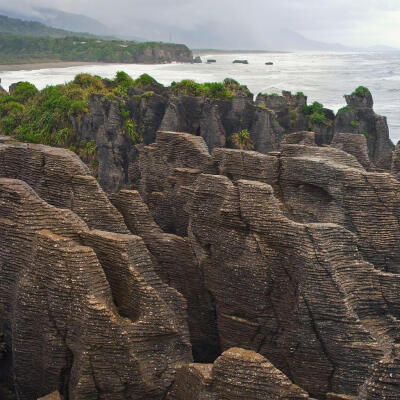 风景