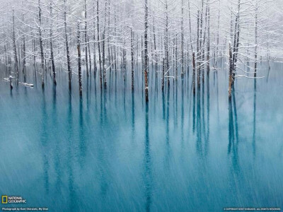 日本 北海道 美瑛