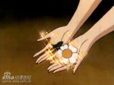 花仙子 小时候好想要这个变身镜，照在花上可以变成各种各样的美丽衣服