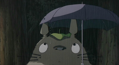 龙猫 Totoro