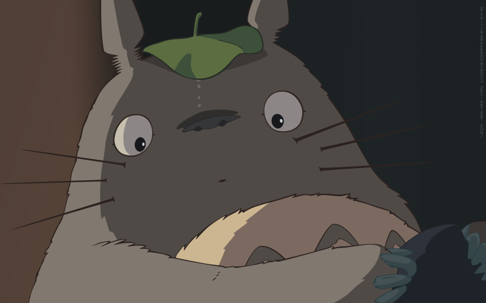 龙猫 Totoro