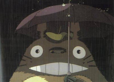 龙猫 Totoro