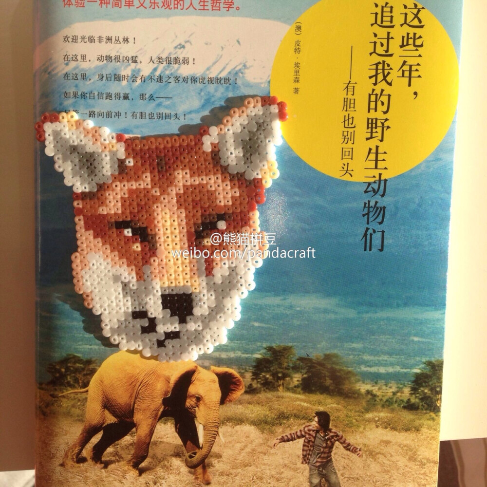 #為自己的書做書簽# 狐貍書簽和用剛上架的絲墜扣做的周二下午書簽[抱抱] 絲墜扣請戳： http://a.m.taobao.com/i39087752661.htm #拼豆# #perler beads# #熊貓拼豆#