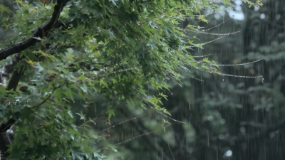 春雨 ~