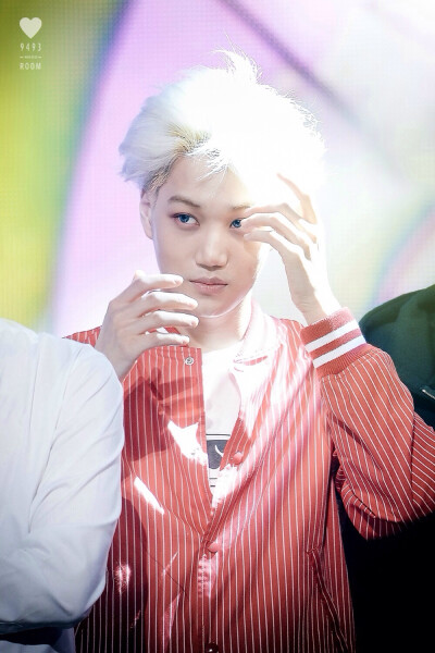 EXO 金钟仁KAI