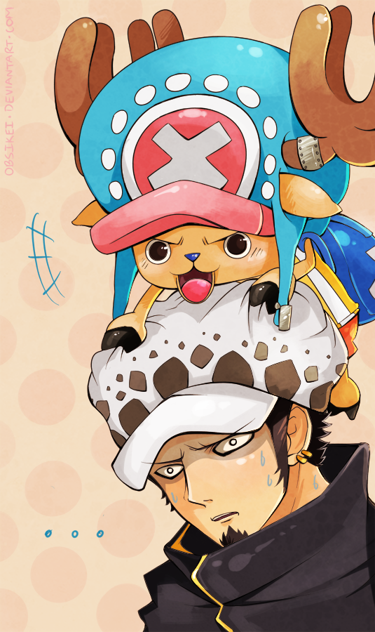 law, chopper