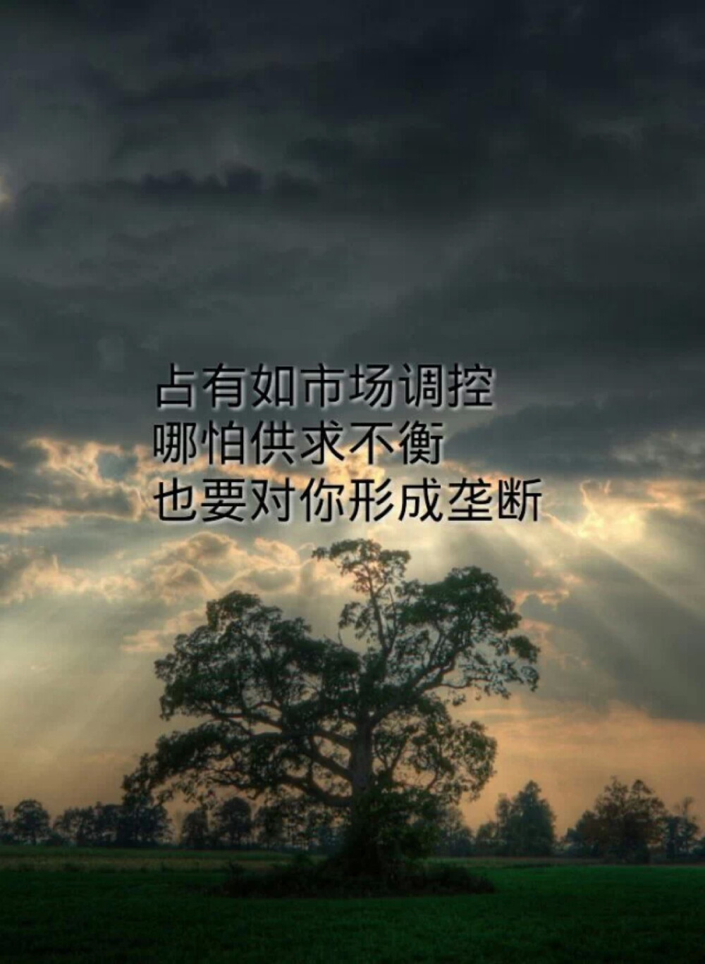 学术情书。壁纸